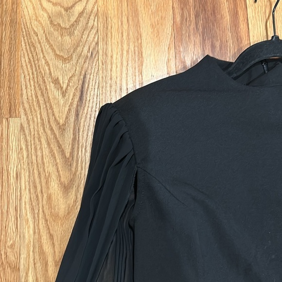 Black Pleated Sleeve Dress - Picture 9 of 10